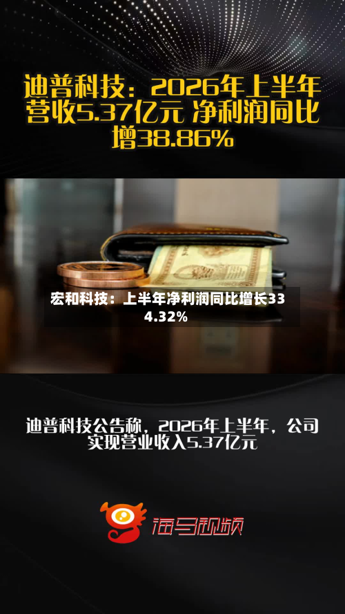 宏和科技：上半年净利润同比增长334.32%-第1张图片