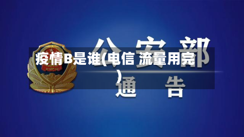 疫情B是谁(电信 流量用完)-第2张图片