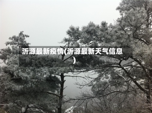沂源最新疫情(沂源最新天气信息)-第3张图片