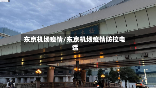 东京机场疫情/东京机场疫情防控电话-第2张图片