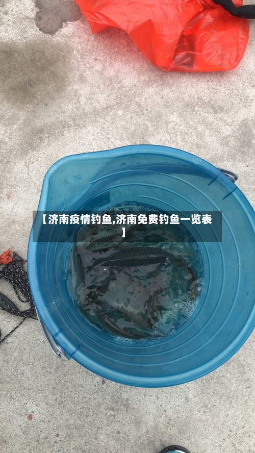 【济南疫情钓鱼,济南免费钓鱼一览表】