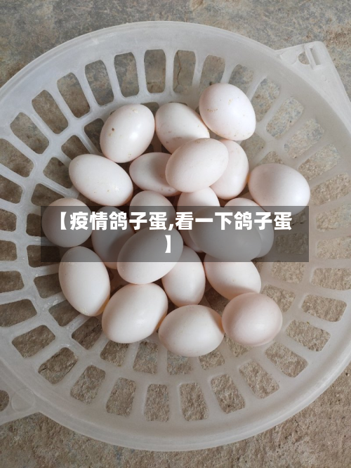 【疫情鸽子蛋,看一下鸽子蛋】