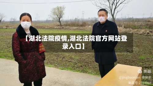 【湖北法院疫情,湖北法院官方网站登录入口】