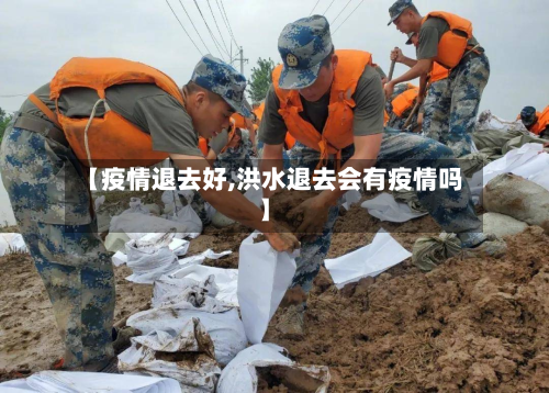 【疫情退去好,洪水退去会有疫情吗】