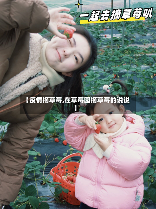 【疫情摘草莓,在草莓园摘草莓的说说】-第3张图片
