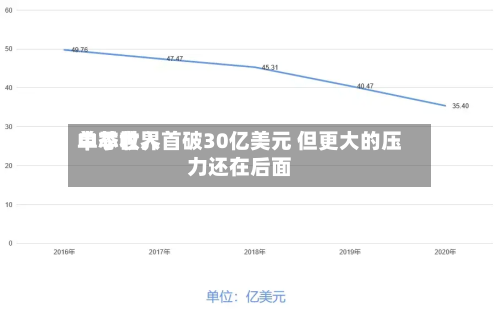中芯世界单季收入首破30亿美元 但更大的压力还在后面