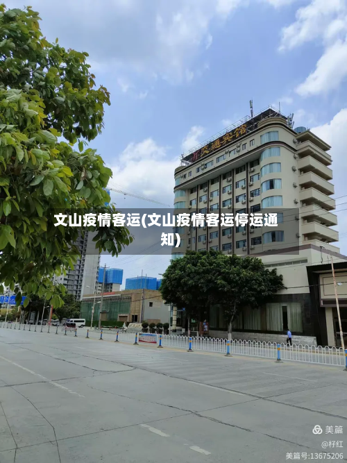 文山疫情客运(文山疫情客运停运通知)-第3张图片