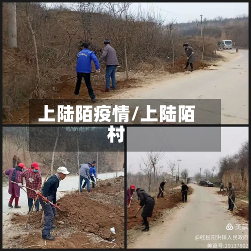 上陆陌疫情/上陆陌村-第3张图片