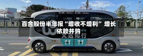 百合股份半年报“增收不增利” 增长依赖并购-第2张图片