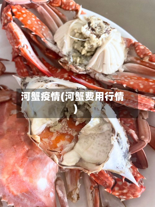 河蟹疫情(河蟹费用行情)-第2张图片