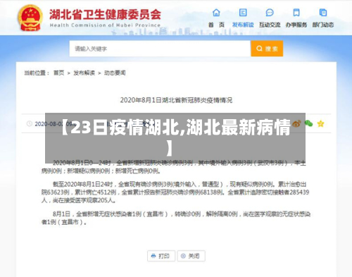 【23日疫情湖北,湖北最新病情】-第2张图片