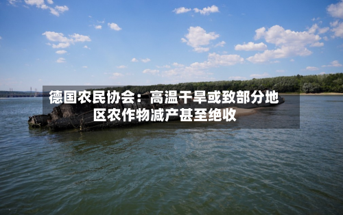 德国农民协会:高温干旱或致部分地区农作物减产甚至绝收-第2张图片