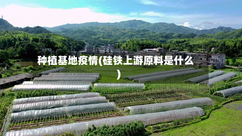 种植基地疫情(硅铁上游原料是什么)