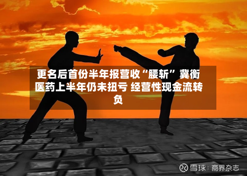 更名后首份半年报营收“腰斩” 冀衡医药上半年仍未扭亏 经营性现金流转负