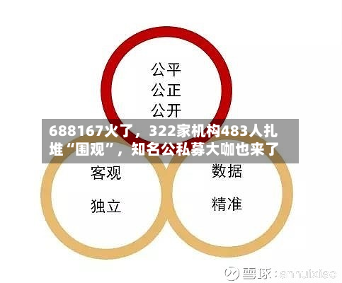 688167火了，322家机构483人扎堆“围观”	，知名公私募大咖也来了-第3张图片
