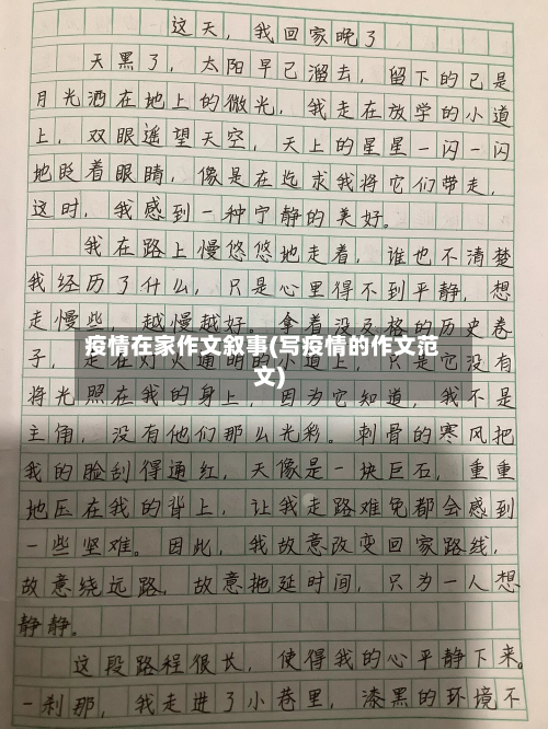 疫情在家作文叙事(写疫情的作文范文)-第2张图片