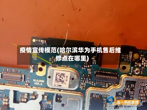疫情宣传模范(哈尔滨华为手机售后维修点在哪里)-第3张图片